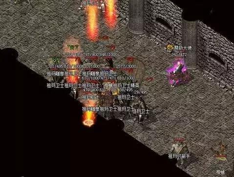 武士之星后期发展的重要助力